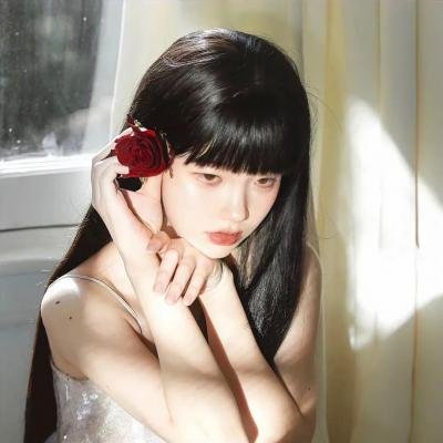 狮子护卫队第一季